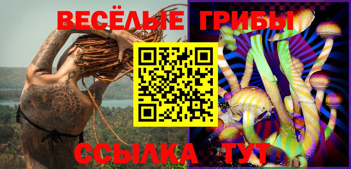 Рассказово  Галлюциногенные грибы Psilocybine cubensis  Вход с VPN 